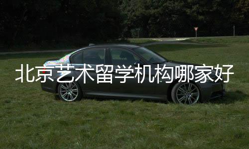 北京艺术留学机构哪家好？