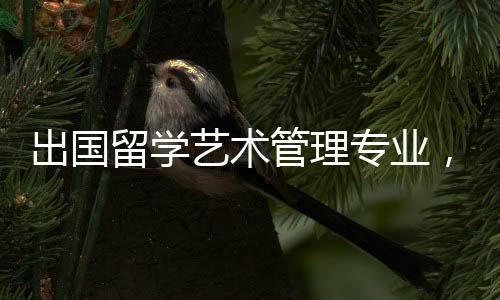 出国留学艺术管理专业，你会选择哪些英美院校？