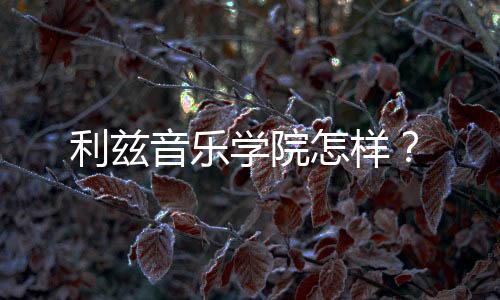 利兹音乐学院怎样?