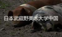 日本武藏野美术大学中国留学生多吗？