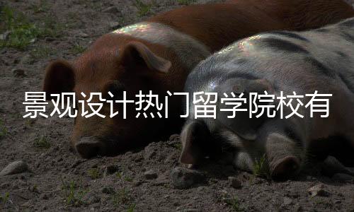 景观设计热门留学院校有哪些？