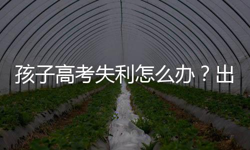孩子高考失利怎么办?出国留学是出路