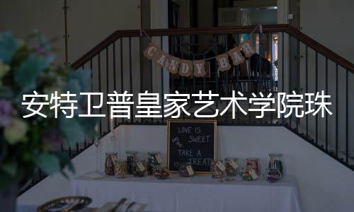 安特卫普皇家艺术学院珠宝设计申请解析