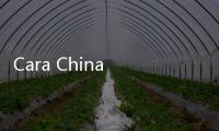 Cara China Merayu Pelaku Industri Bergeser ke Truk Listrik, Dibuat Dulu Ekosistem Tukar Baterai