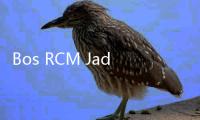 Bos RCM Jadi Tersangka