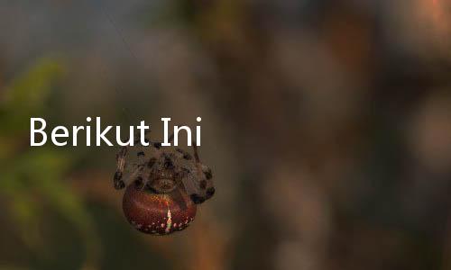 Berikut Ini Asuransi Jiwa Syariah Terbaik dan Manfaatnya