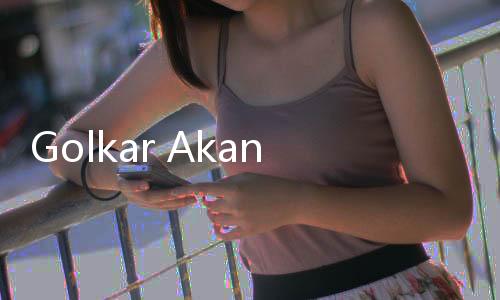 Golkar Akan Usung Putri Akbar Tanjung di Pilkada Solo