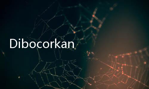 Dibocorkan Ketua Pelaksana, Lokasi Formula E Akan Diumumkan Pada...