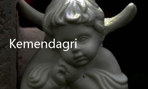 Kemendagri Latih 80 Ribu Aparatur Desa Secara Tatap Maya
