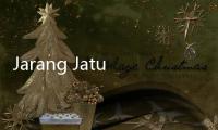 Jarang Jatuh Korban, Seberapa Bahaya Turbulensi Pesawat?