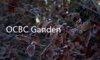OCBC Gandeng Ant International, Ekonomi Digital Makin Ngebut