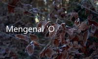 Mengenal 'Ozempic Face', Kulit Kendur Gara