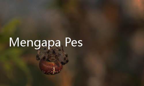 Mengapa Pesawat Tak Boleh Terbang di Atas Ka'bah?