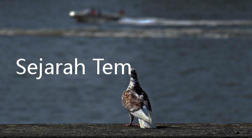 Sejarah Tempe, Sajian Pedesaan yang Kini Mendunia