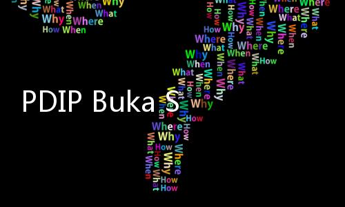 PDIP Buka Suara Soal Pernyataan Denny Indrayana, 'Jangan