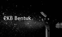 PKB Bentuk Laskar Anti Kecurangan Pemilu, Cak Imin: Kita Harus Lawan Kecurangan Pemilu