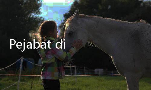 Pejabat di AS Gugat Maskapai untuk Anjing Gegara Langgar Batas Bandara