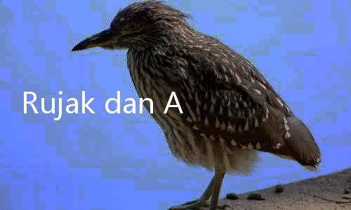 Rujak dan Asinan Masuk Daftar 10 Salad Buah Terbaik di Dunia